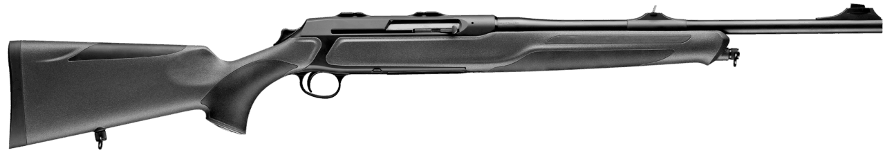 Sauer 303